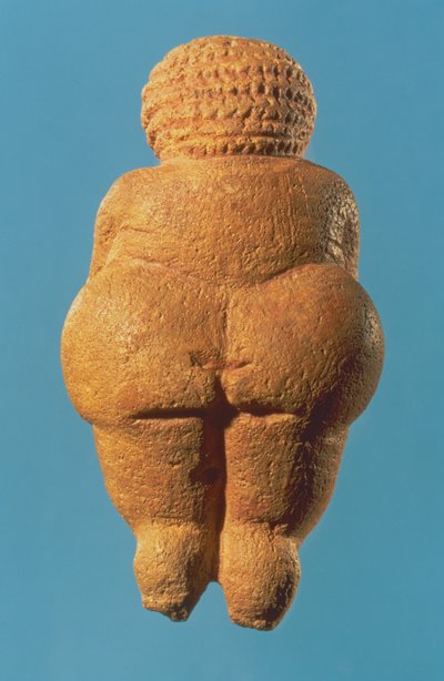 Die Venus von Willendorf, Rückansicht der weiblichen Figurine, Gravettien-Kultur, Oberes Paläolithikum, ca. 30000-18000 v. Chr. von Unbekannt Unbekannt